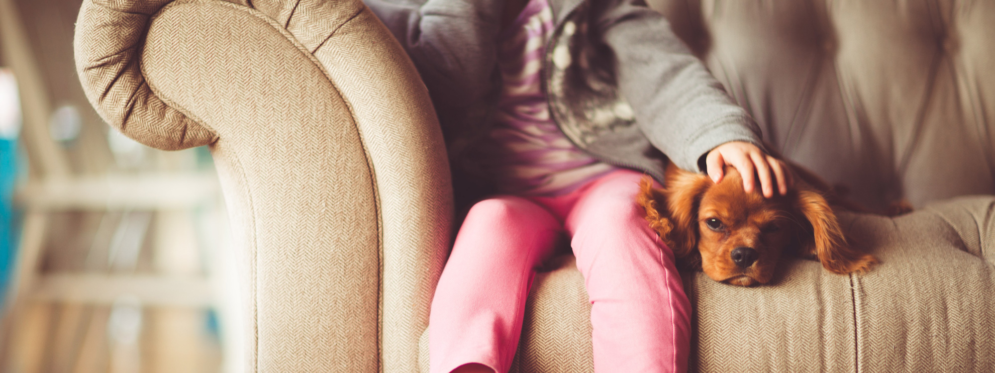 Guide to owning Property